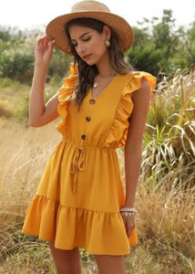 Ruffle Sleeve Dress